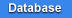Aeronautical Database